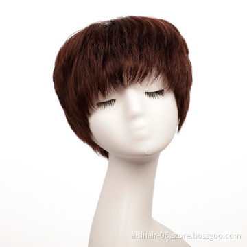 Aisi Hair Double Drawn Raw European No Glue No Gel Short 100% Real Wholesale Human Hair Wigs Colored